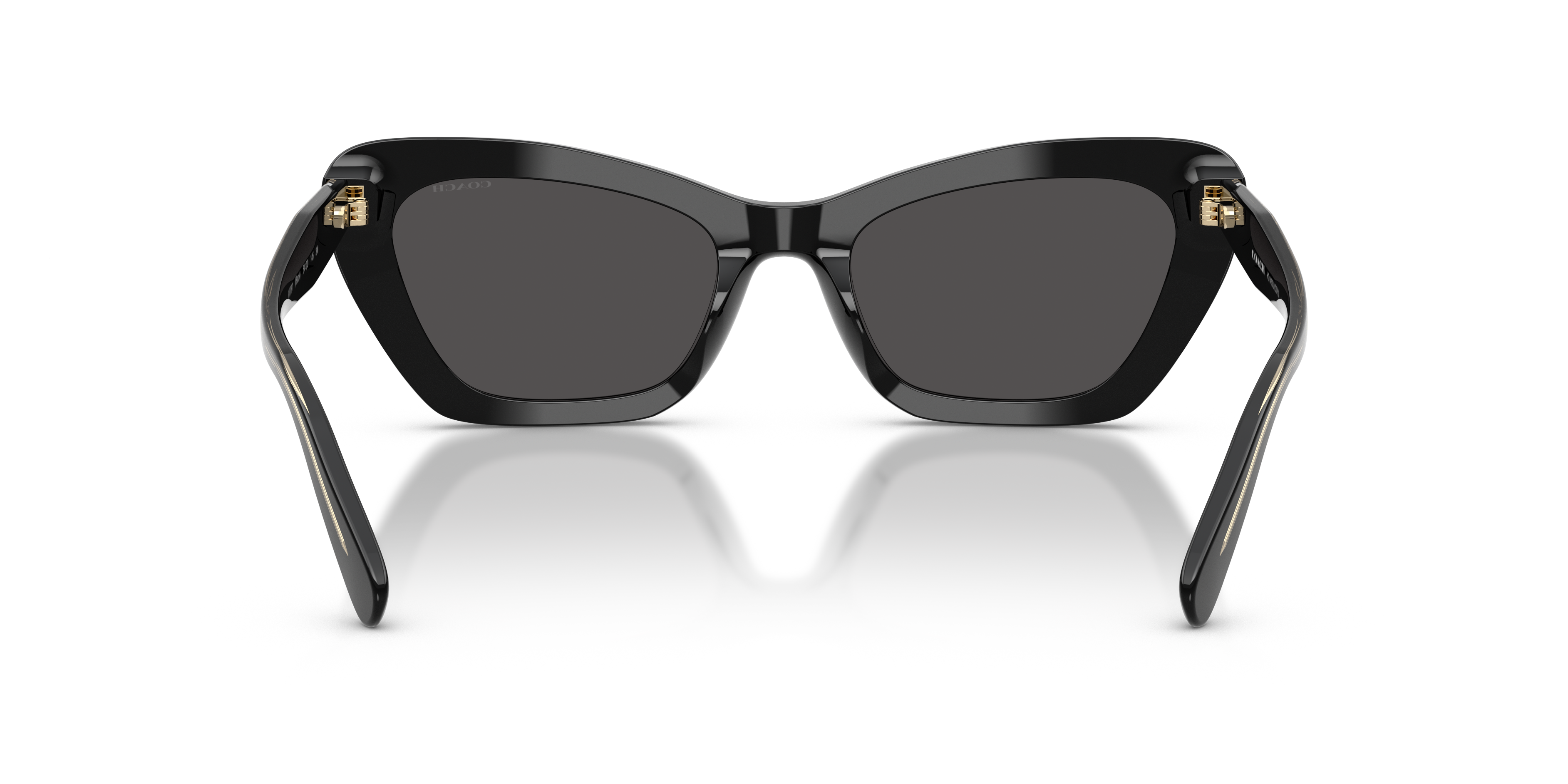 Coach HC8452U 500287 Cdp52 